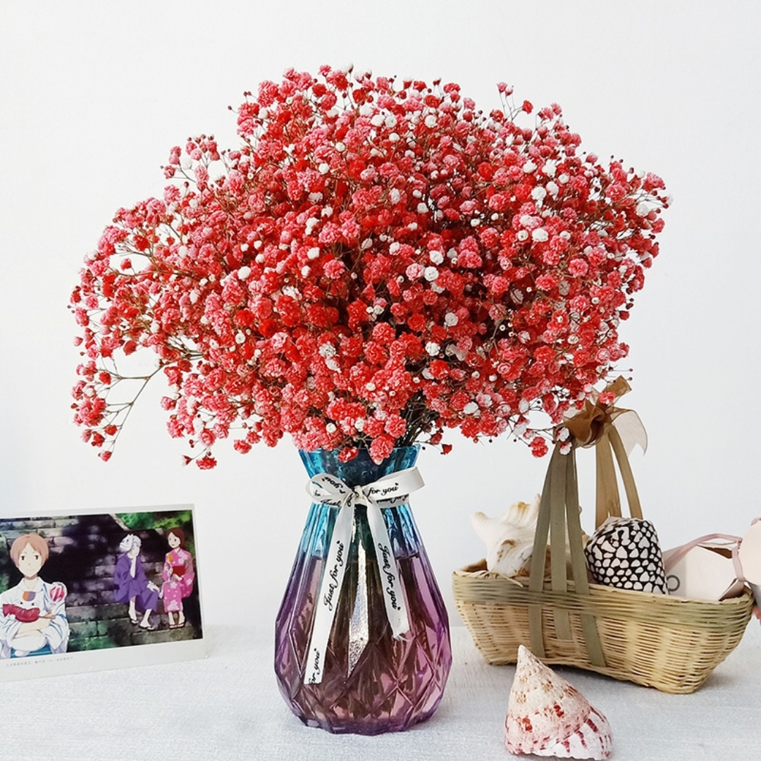 红色满天星 【1扎】