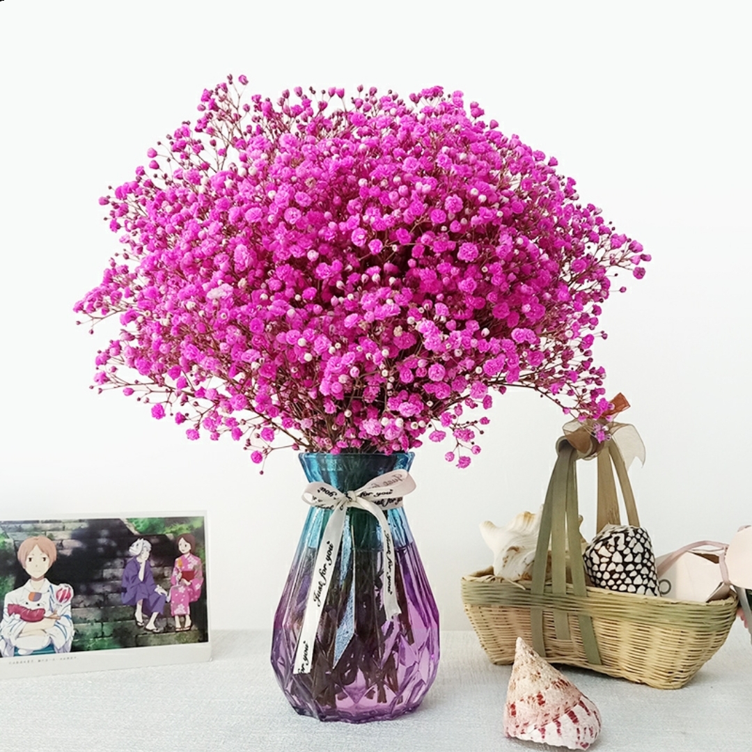 玫红色满天星 【1扎】