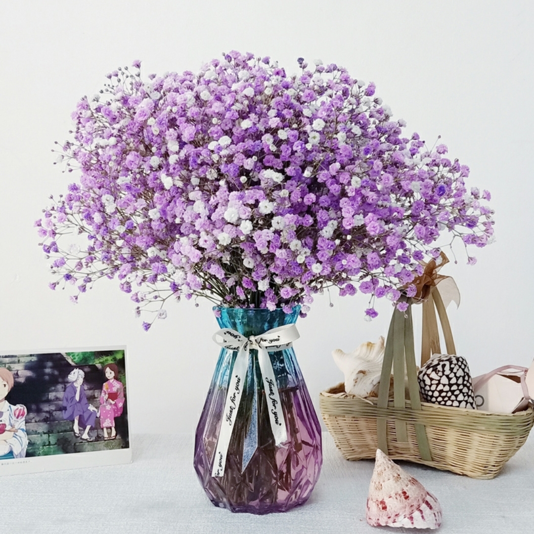 紫色满天星 【1扎】