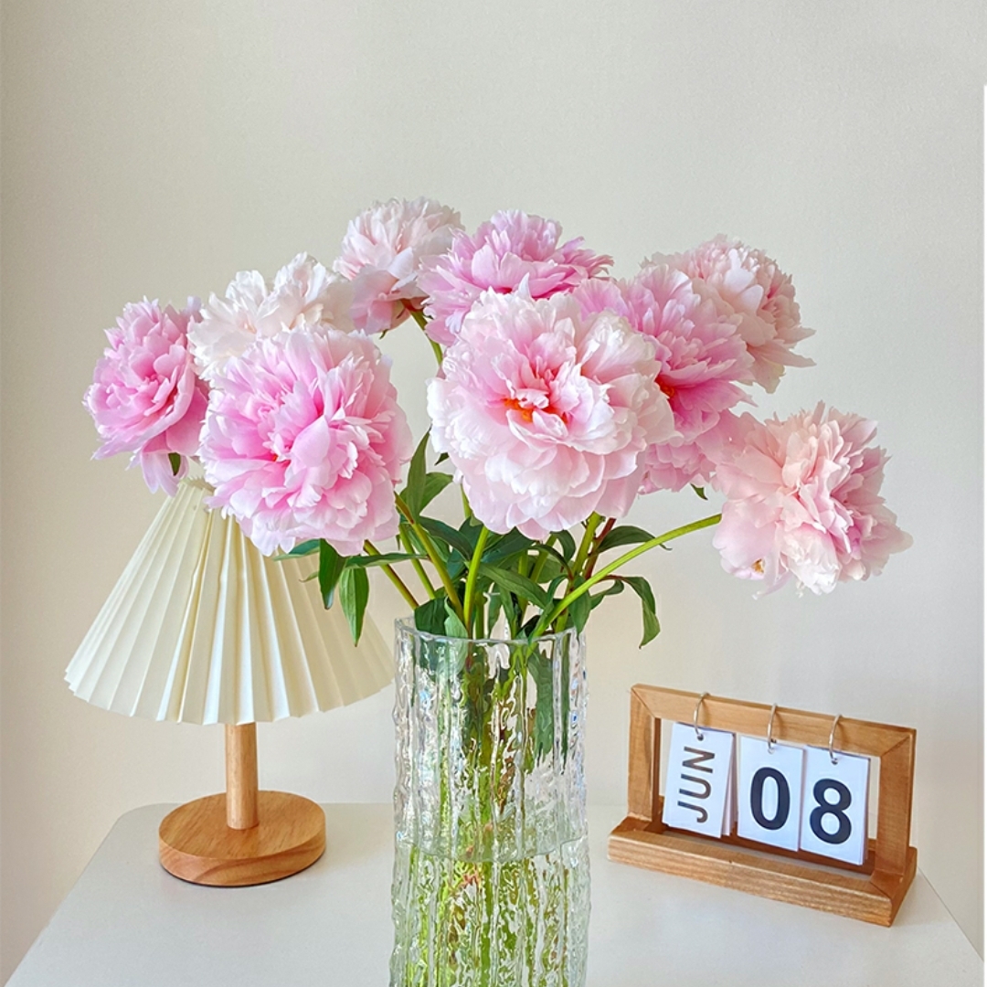 芍药花 鲜切花 1扎10枝左右