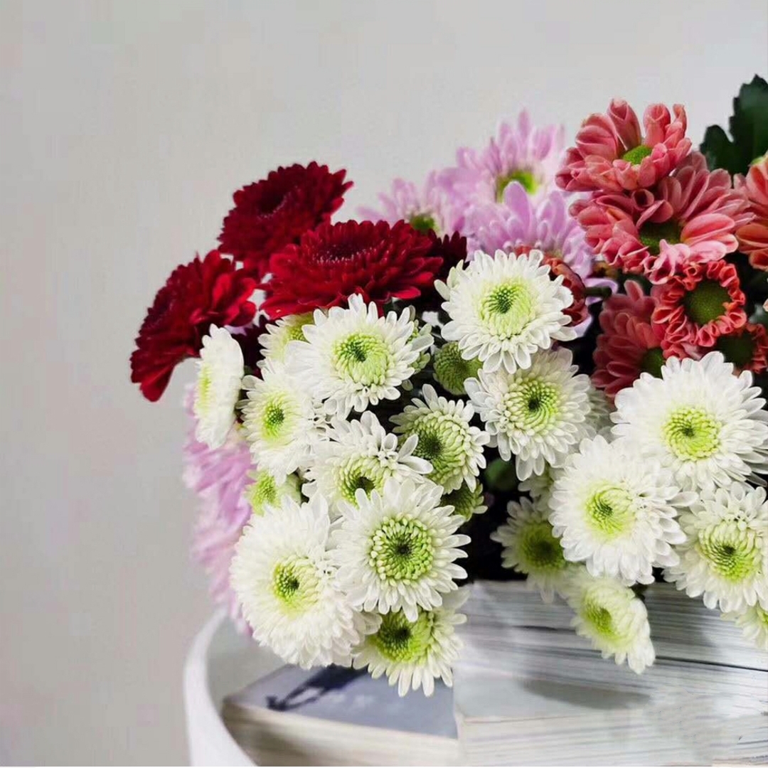 混搭雏菊鲜切花1扎5枝网红家居