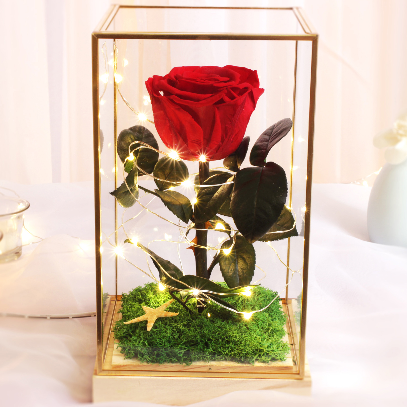 进口永生花玻璃罩摆永生玫瑰花保鲜花