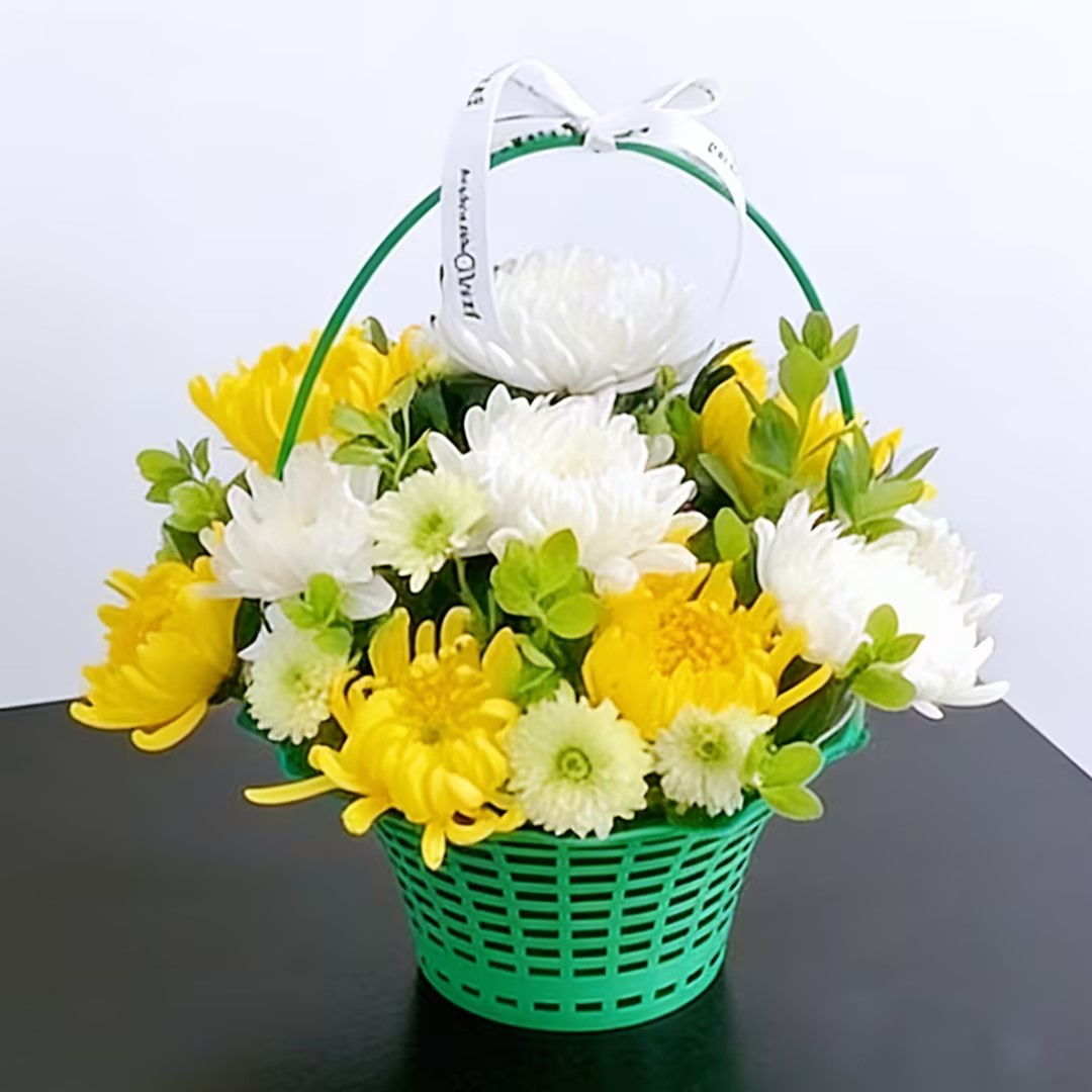 挂念/黄白菊花手提花篮祭祀鲜花