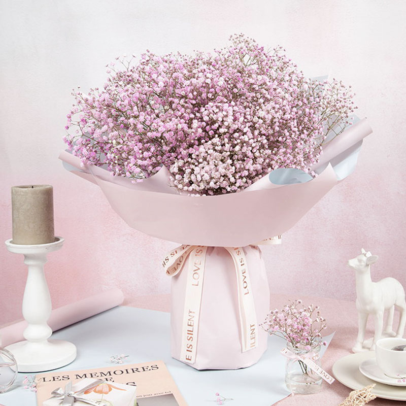 满天星辰 只因有你 001 粉