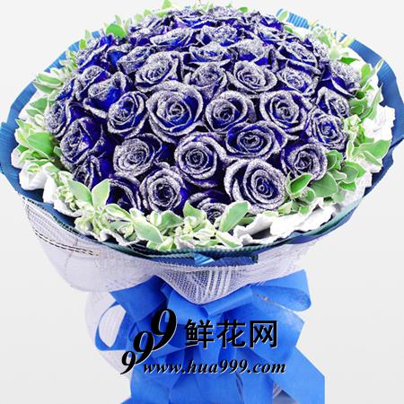 美好年华——33朵蓝色妖姬精美