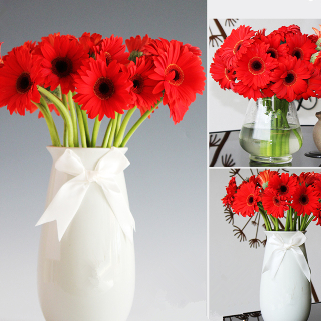 红色 太阳花 鲜切花【1枝】