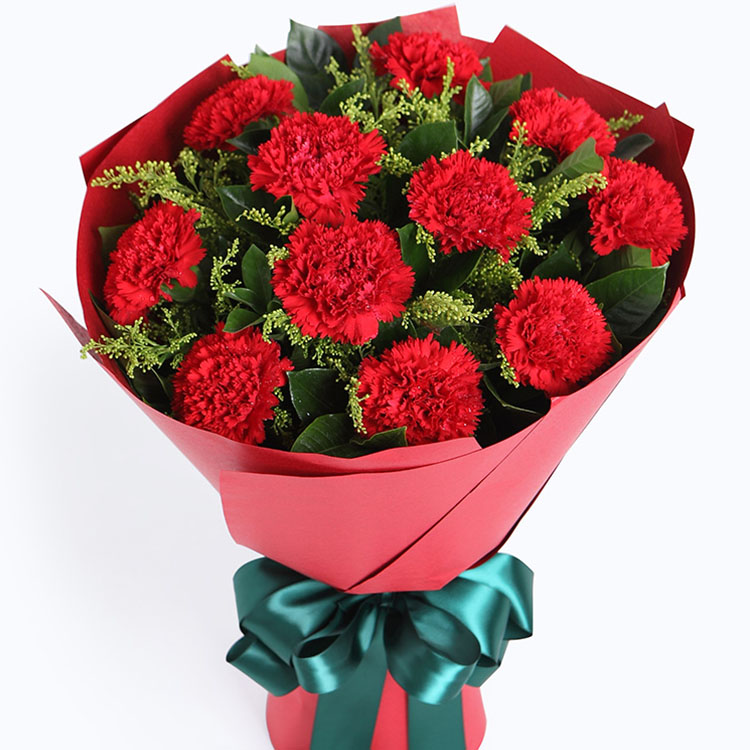 幸福花园-11朵红色康乃馨花束