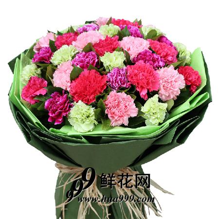 暖暖的问候-33朵各色康乃馨混搭精美包装