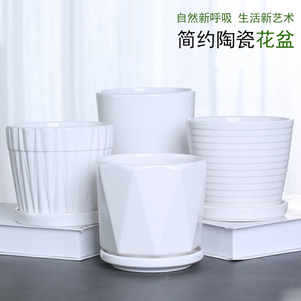 小植物瓷盆 陶瓷花盆1个 网红简约花盆 换盆 口径14cm高13cm 花纹样式随机