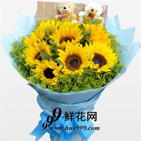 有你的地方/11朵向日葵加2个