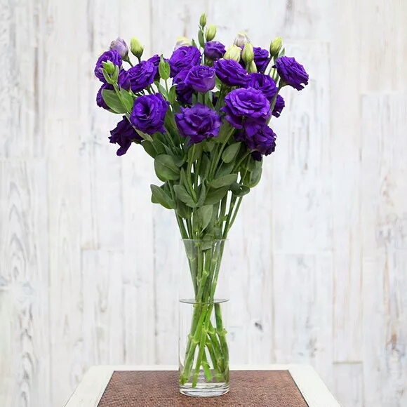 紫色洋桔梗鲜切花1扎10-15朵左右洋桔梗花家庭生活插花办公室鲜花鲜花水养插花花店送花上门