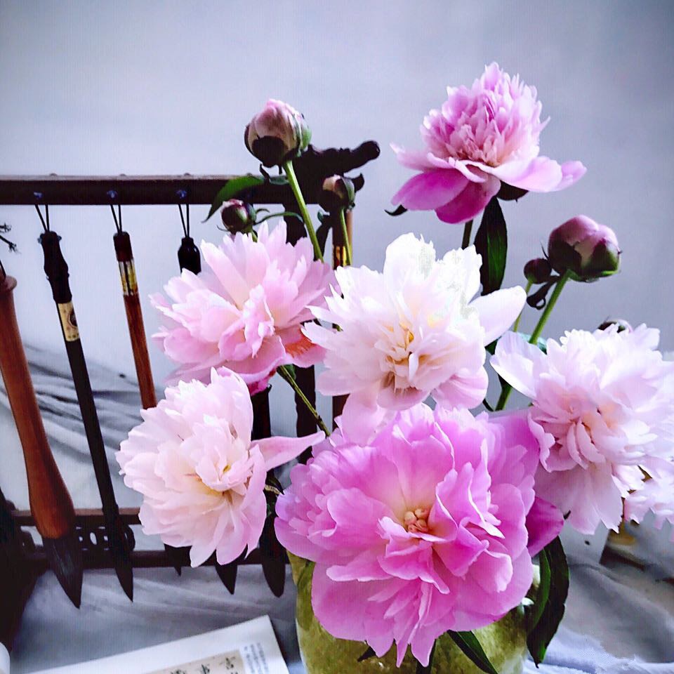 牡丹花 鲜切花【1扎5枝左右】