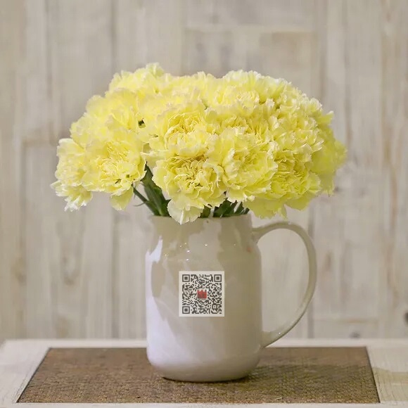 黄色 康乃馨 鲜切花【1枝】家