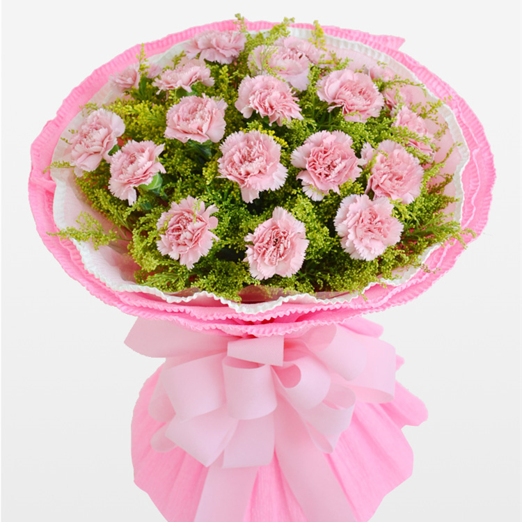 温暖怀抱——18朵粉色康乃馨如