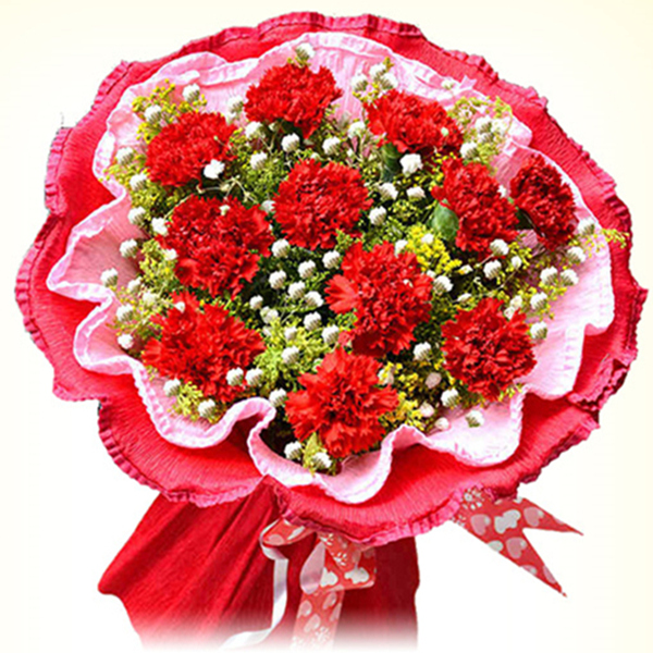 妈妈的爱馨——11朵红色康乃馨