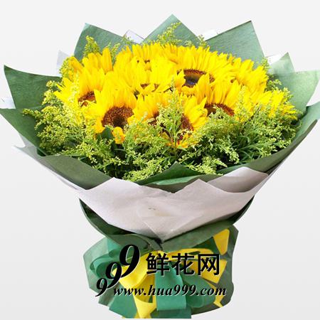 忆往昔/10朵向日葵陪黄英精美