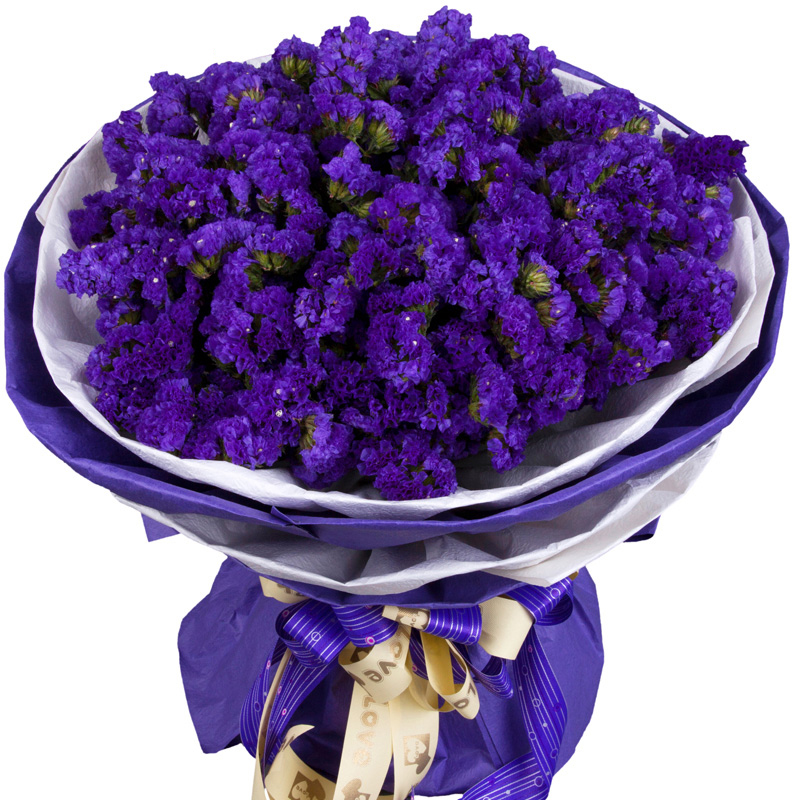 开心童话——紫色勿忘我花束