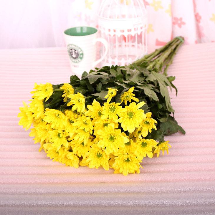 黄色小雏菊鲜切花1扎5枝网红家