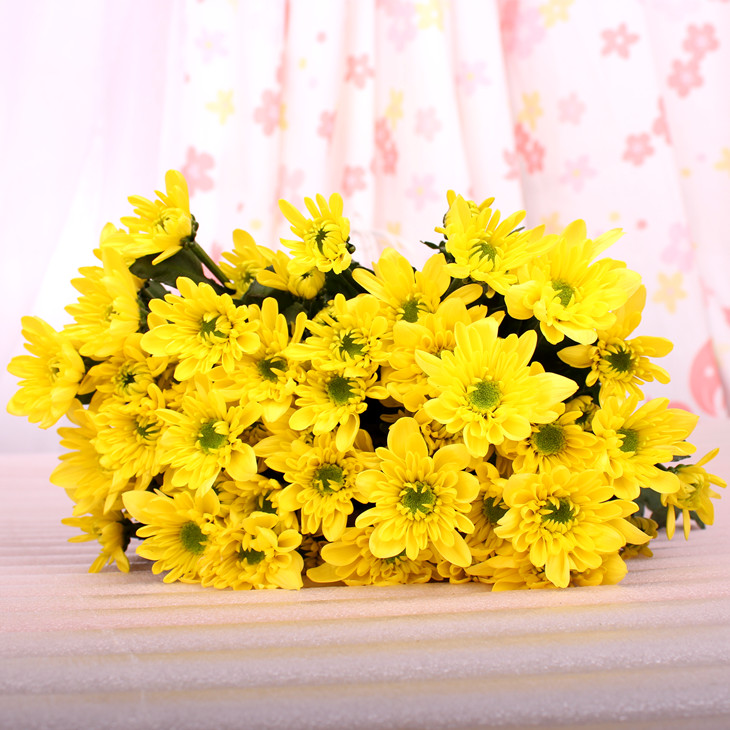 黄色小雏菊鲜切花1扎5枝网红家