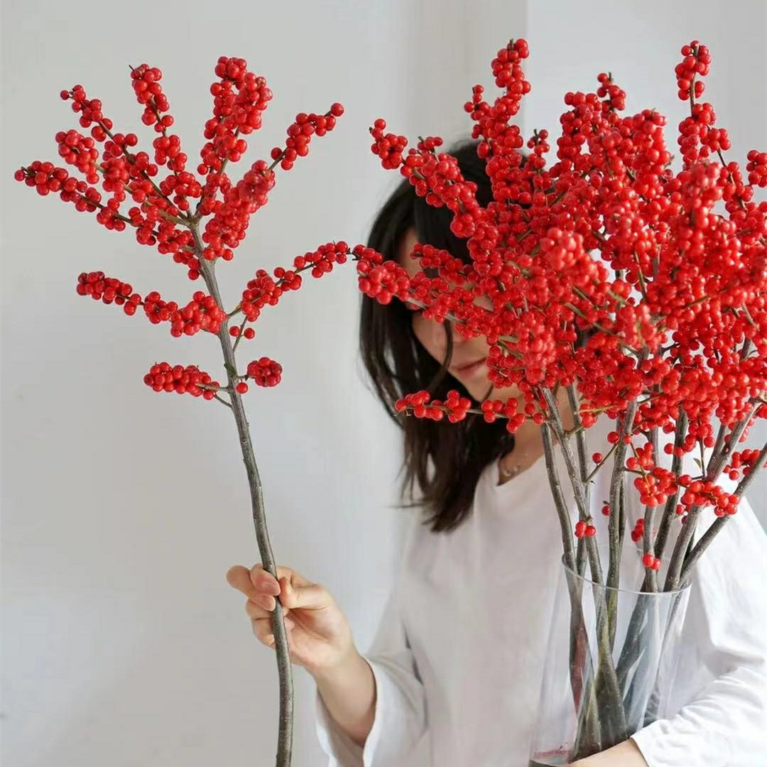 北美冬青 红豆 高端年宵花 1
