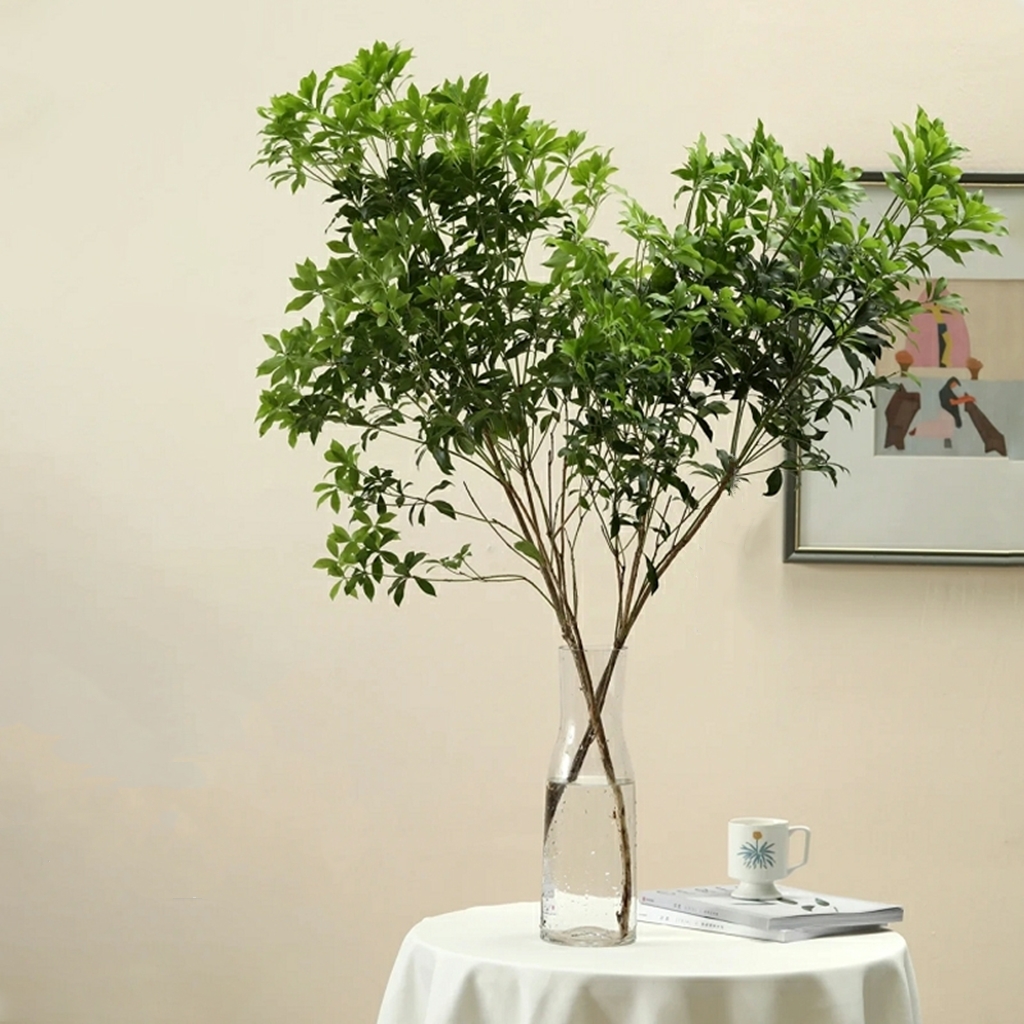 日本进口马醉木1枝Pieris