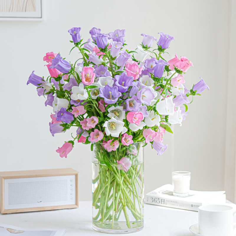 风铃花1扎生活鲜花蓝色风铃花粉