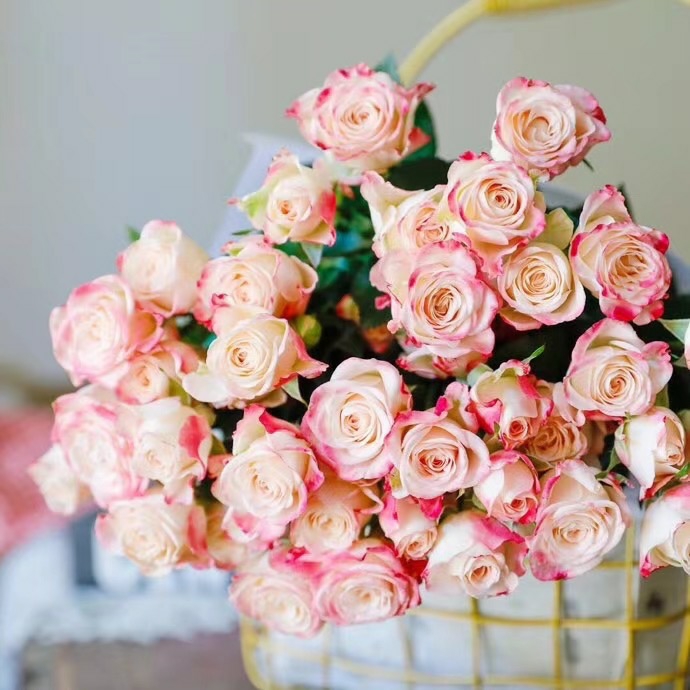 多头折射 多头小玫瑰花【1扎≥