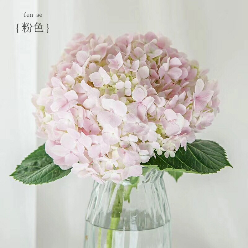 粉色绣球花鲜切花1枝家庭生活插
