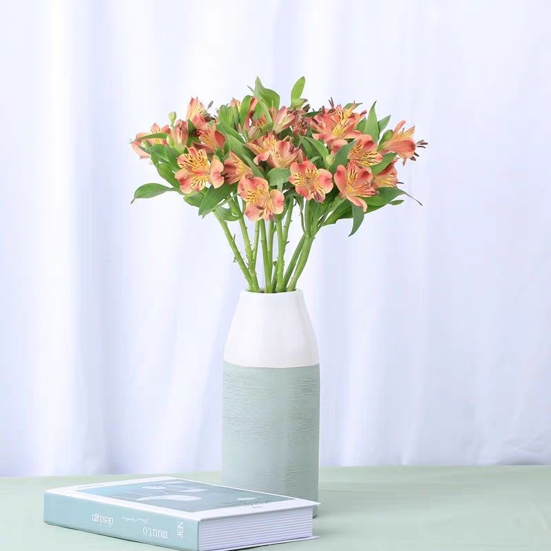 水仙百合六初花 Alstroemeria 鲜切花1扎颜色随机发货