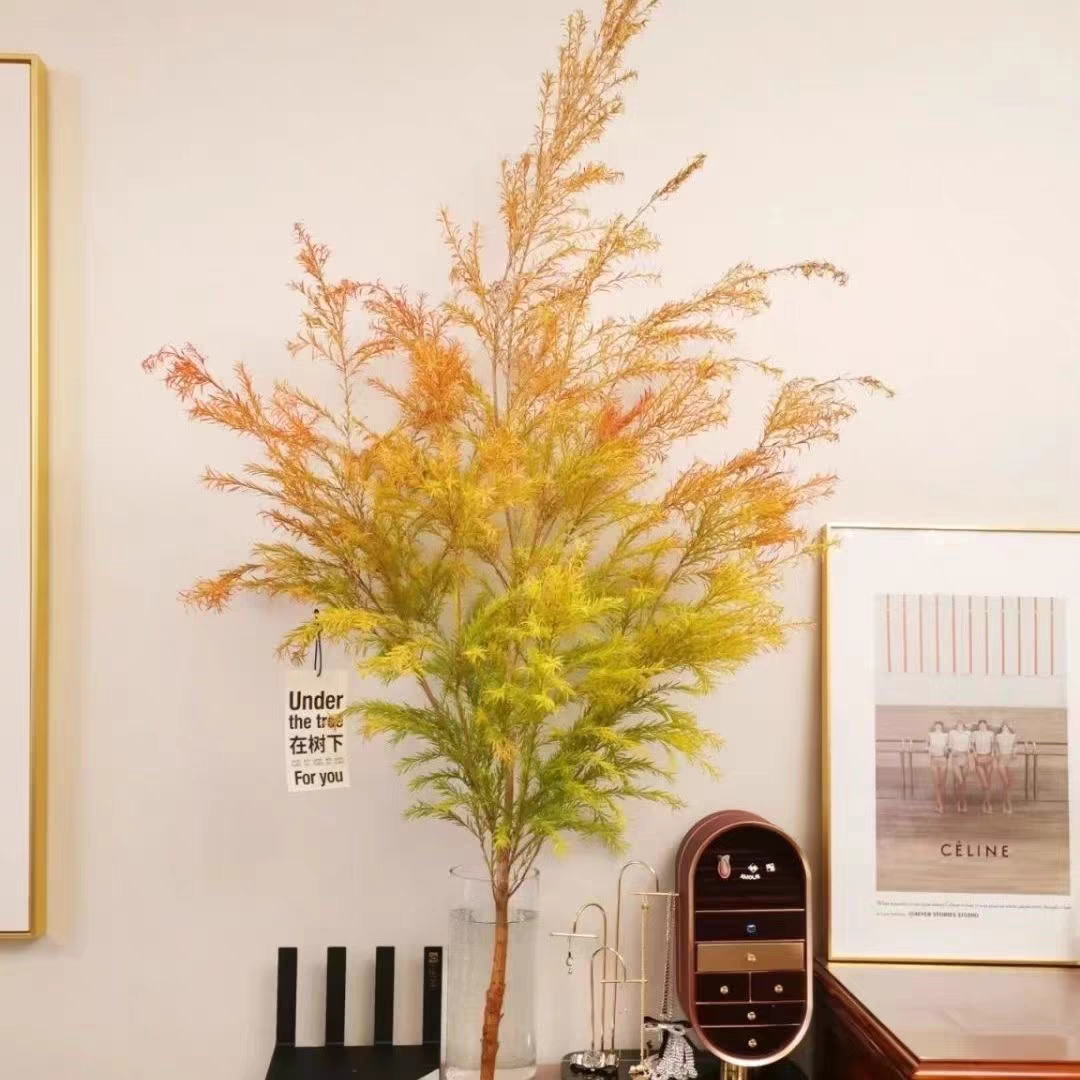 千层金黄金香柳香松1扎2-3枝