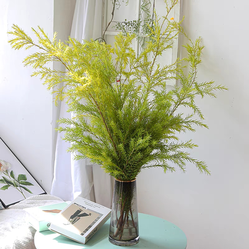 千层金黄金香柳香松1扎2-3枝