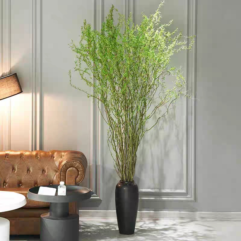 龙柳鲜切花1扎水培鲜花龙柳鲜枝生活鲜花花卉观叶吸甲醛净化空气好养活插花家居鲜花