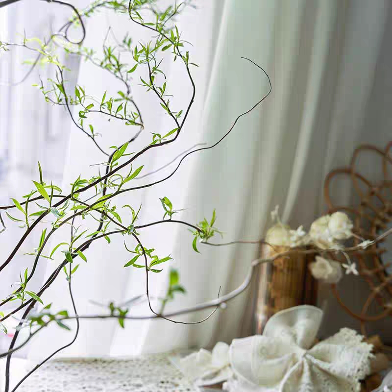 龙柳鲜切花1扎水培鲜花龙柳鲜枝生活鲜花花卉观叶吸甲醛净化空气好养活插花家居鲜花