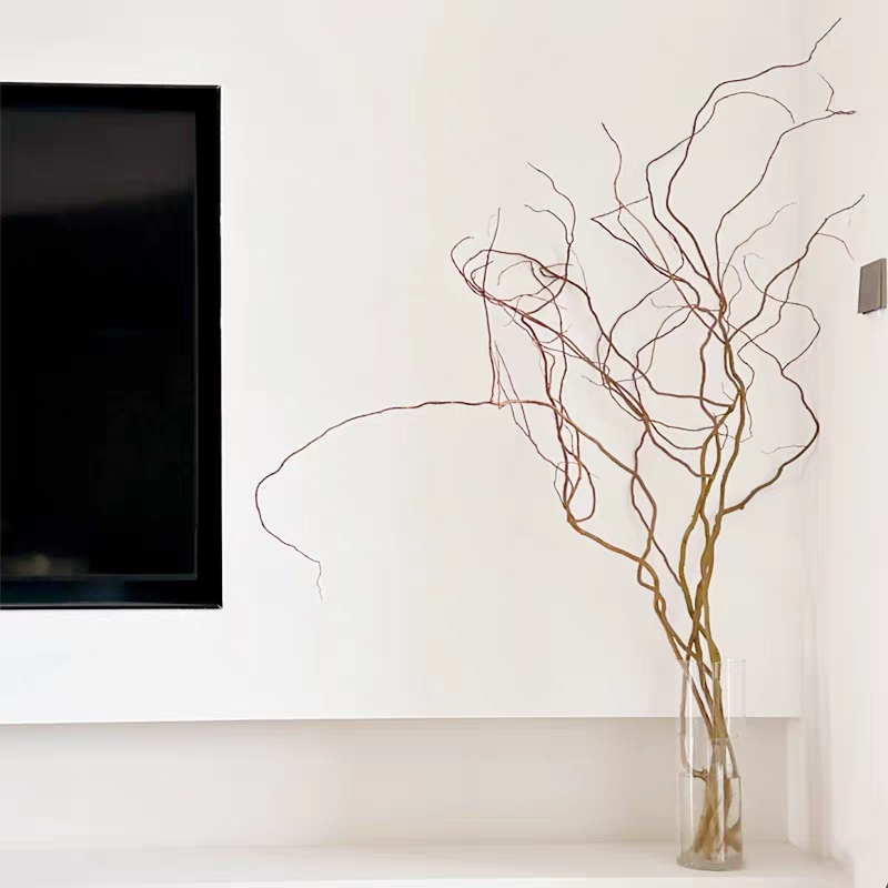 龙柳鲜切花1扎水培鲜花龙柳鲜枝生活鲜花花卉观叶吸甲醛净化空气好养活插花家居鲜花