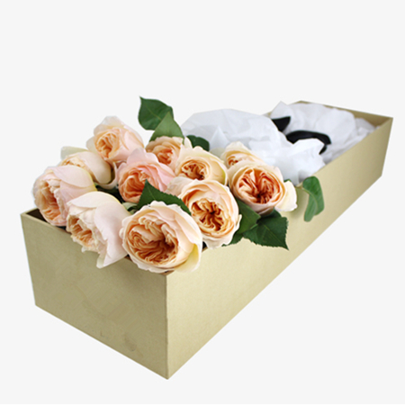 12朵大卫奥斯汀玫瑰花DAVID AUSTIN ROSES-爱丽丝小姐