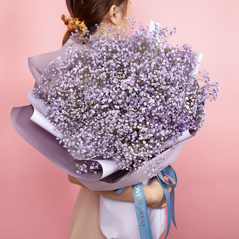 满天星辰 只因有你 002 蓝