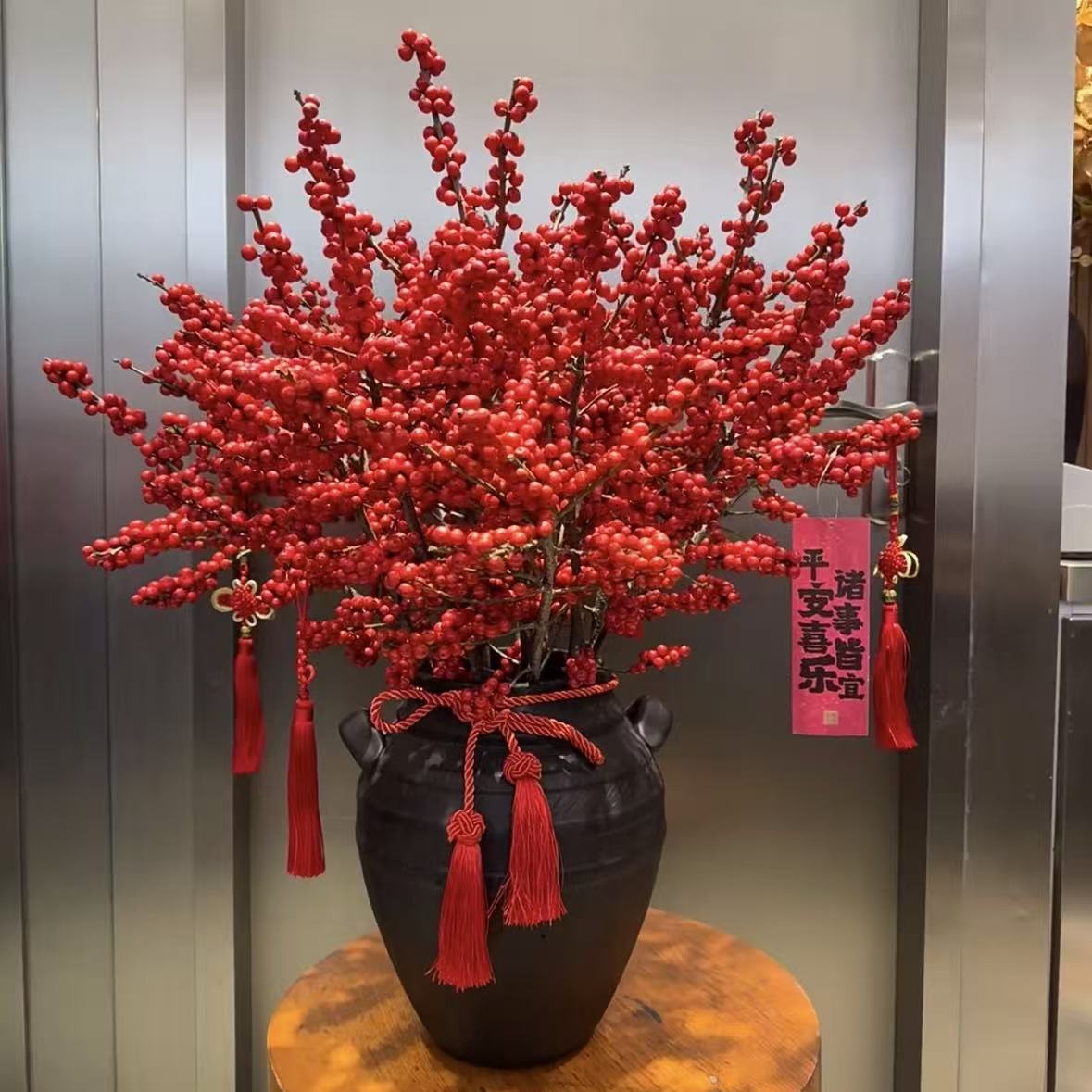 北美冬青 红豆 高端年宵花 1