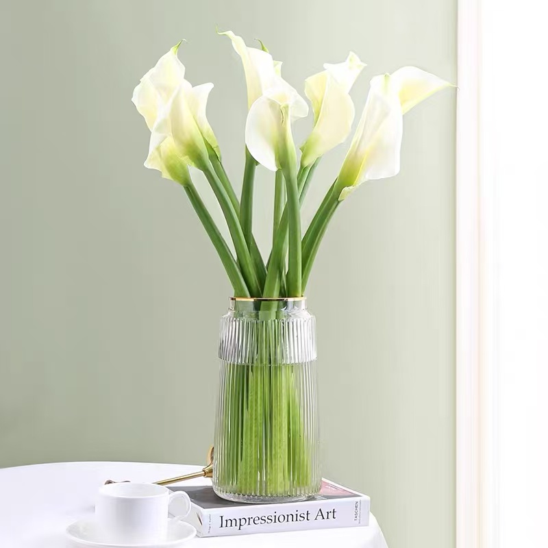 白色马蹄莲鲜花鲜切花水培家用客