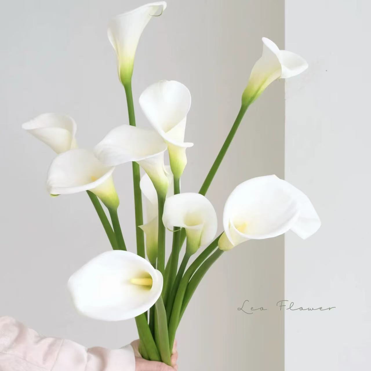 白色马蹄莲鲜花鲜切花水培家用客