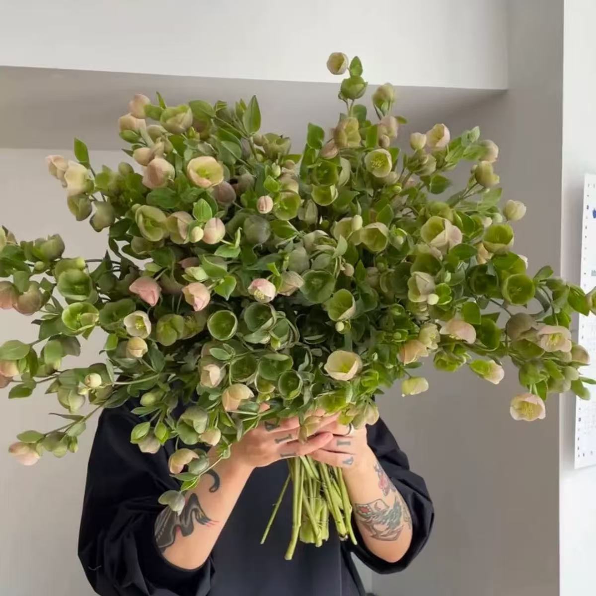 菟葵鲜花铁筷子鲜切花1扎新鲜室