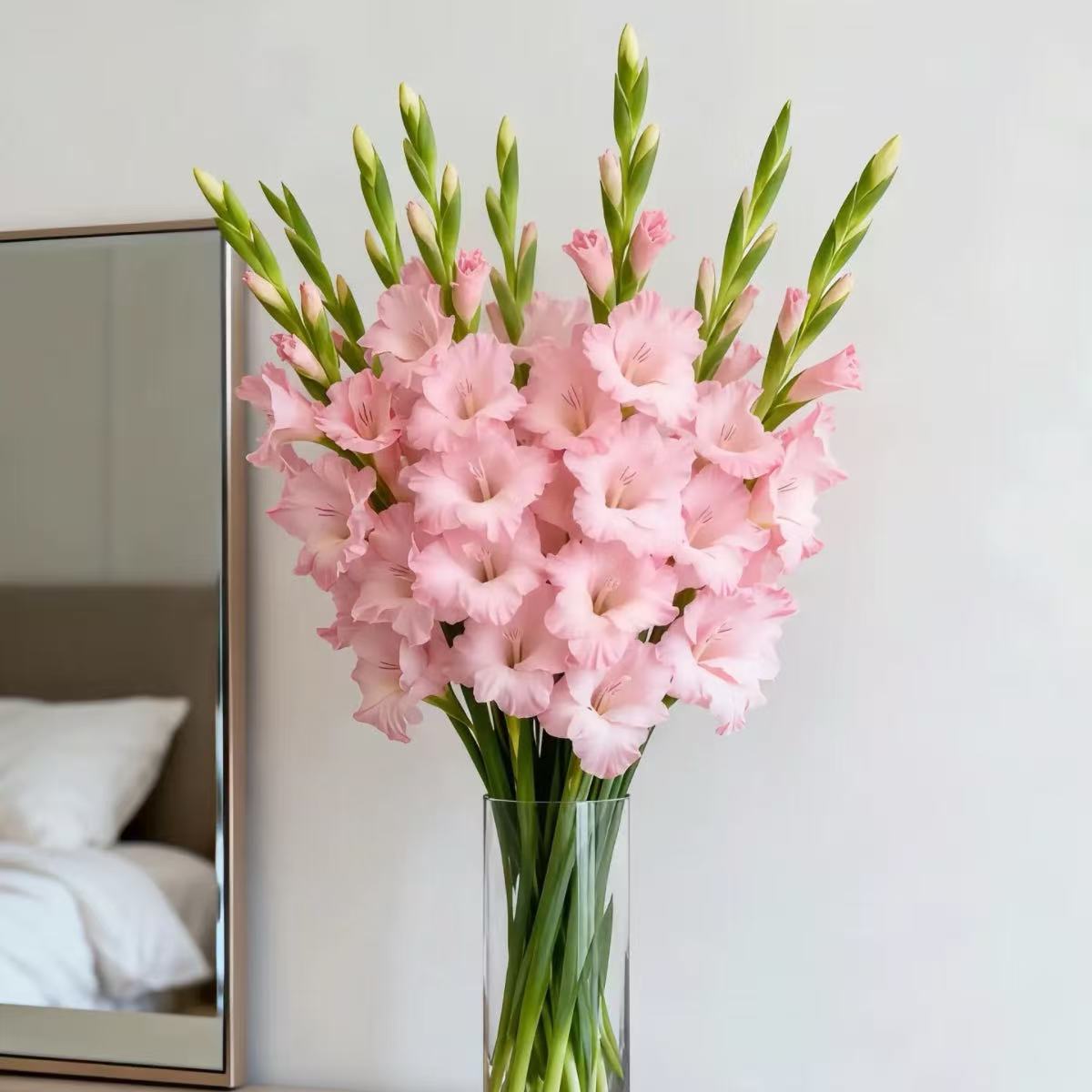 剑兰鲜花鲜切花室内客厅办公室桌