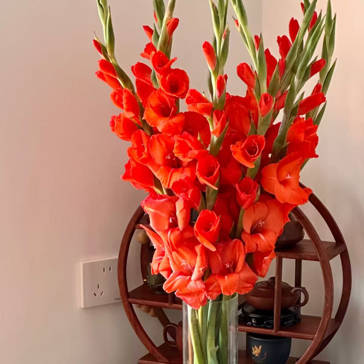 剑兰鲜花鲜切花室内客厅办公室桌