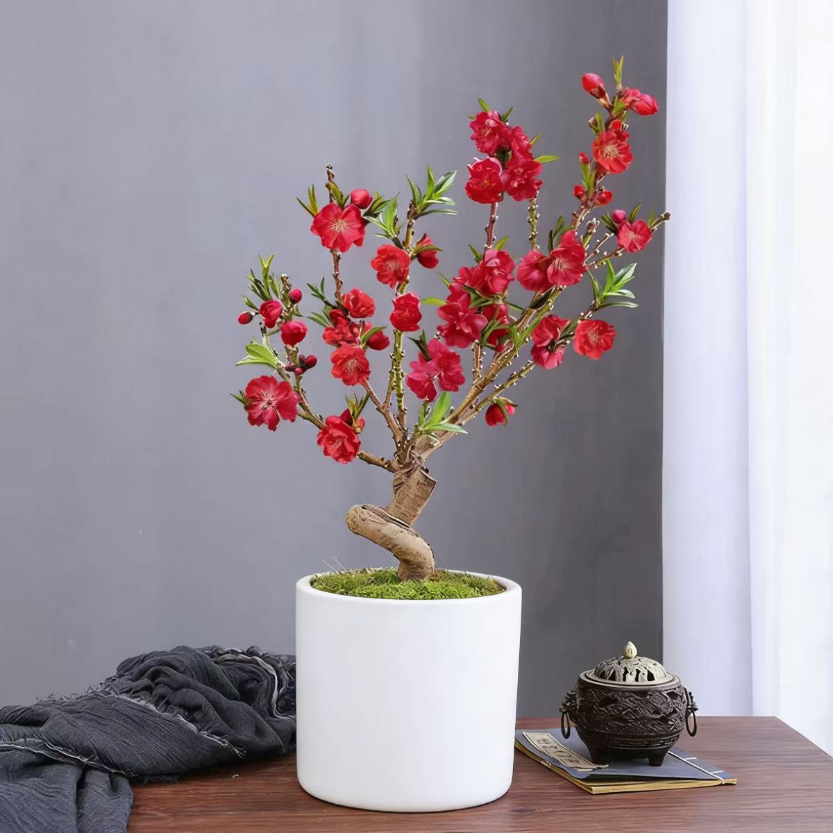 桃花树盆栽老桩苗阳台寿心桃子桃