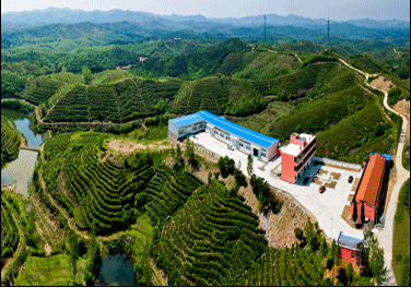 航拍全景