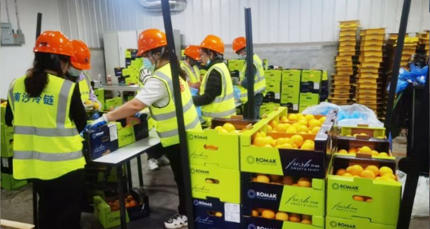 南沙农业对外开放合作有新成果：首批伊朗甜柠檬抵港进口 