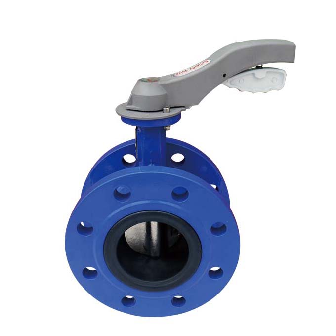 KT310D double flange butterfly valve