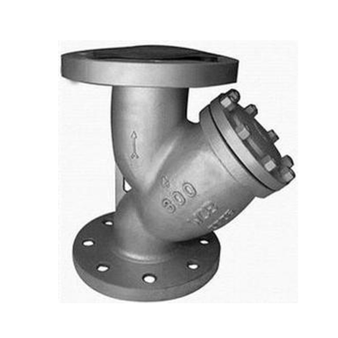 WCB Y-strainer