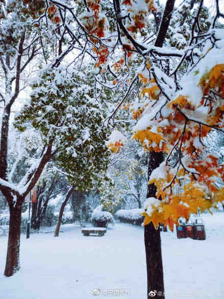 Snow coming, be careful on the way