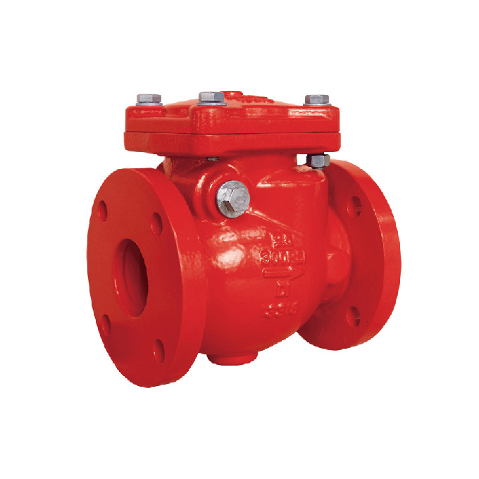 Swing Check valve flange end