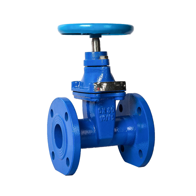 Z45X-10Q/16Q/25Q DIN/BS5163 NRS gate valve